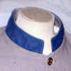 Add a trim color to collar  